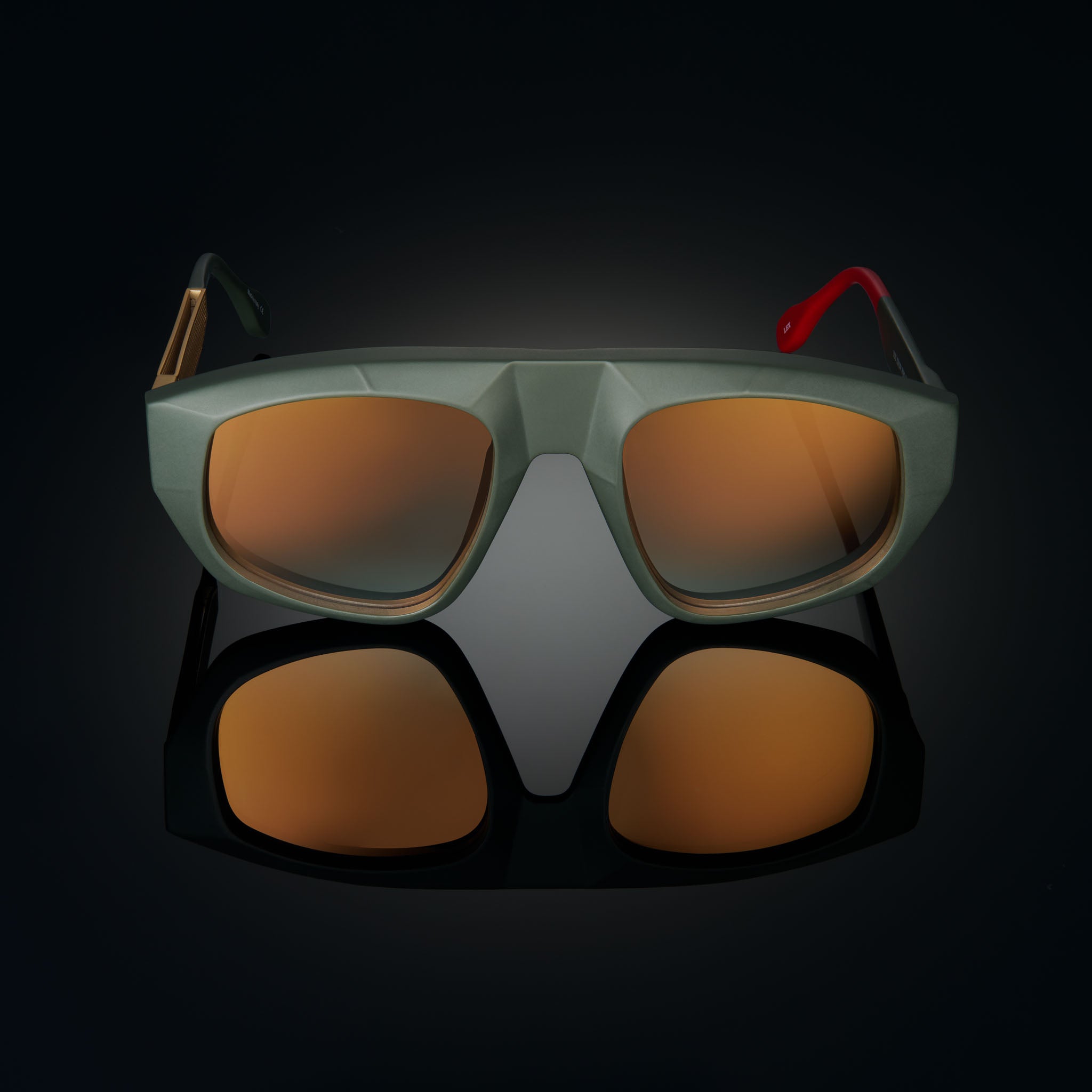 16　Sunshine leaves Southern Living 2 gal. Potted Ligustrum Sunshine Shrub at